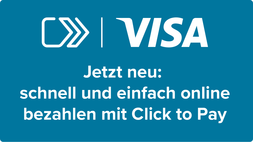 Blaues Visa Logo